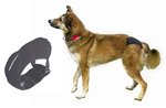 Protective Dog Pants 60 - 70cm XL-dog-The Pet Centre