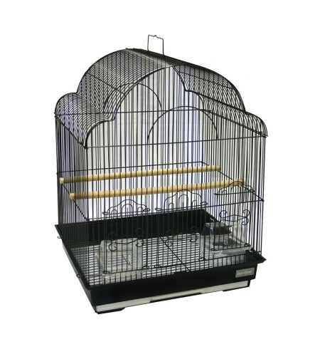 Avi One Fancy Top Bird Cage