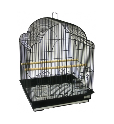 Avi One Fancy Top Bird Cage