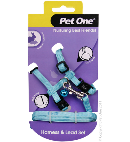 Pet One Small Animal Harness and Lead - Aqua