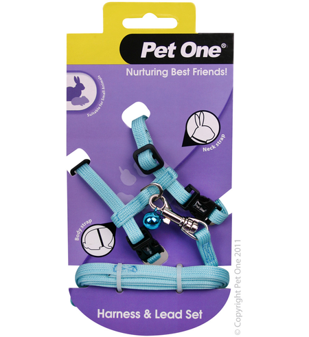 Pet One Small Animal Harness and Lead - Aqua