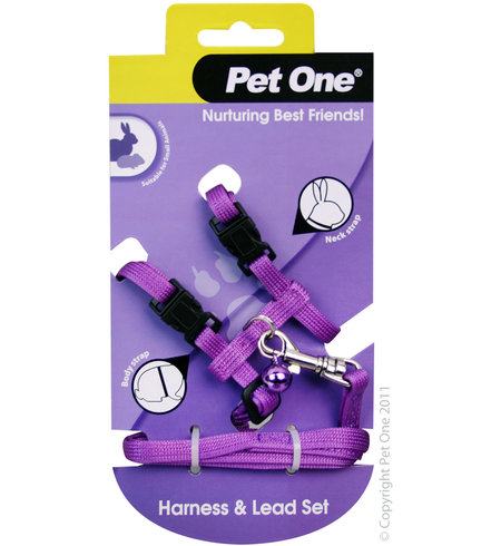 Pet One Small Animal Harness and Lead - Purple