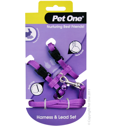 Pet One Small Animal Harness and Lead - Purple