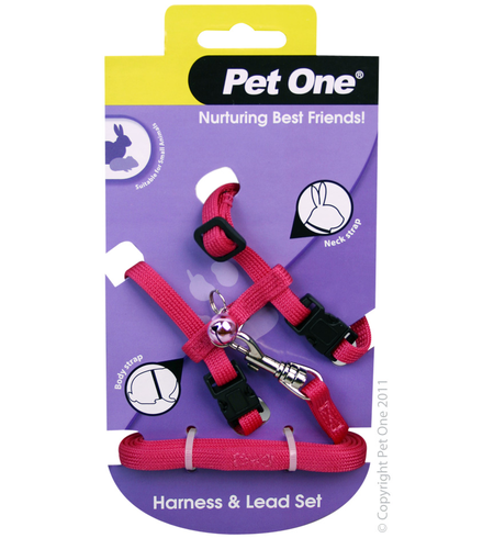 Pet One Small Animal Harness and Lead - Pink