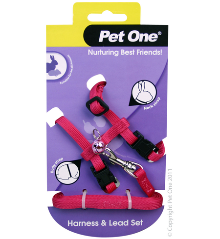 Pet One Small Animal Harness and Lead - Pink