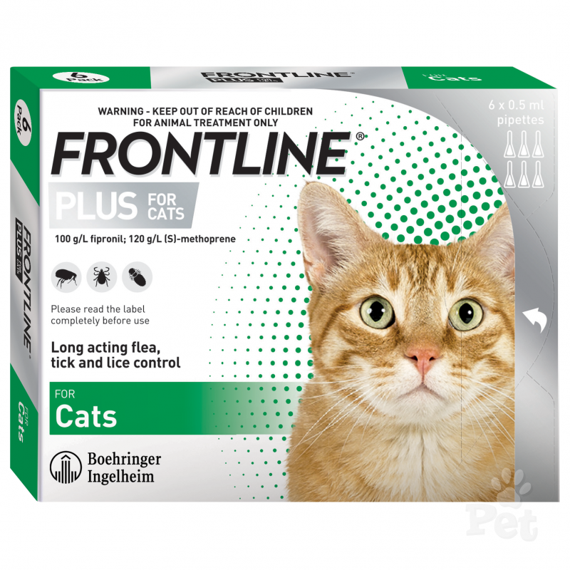 Frontline Cat 6 Pack Cat The Pet Centre Frontline Flea Treatment x x