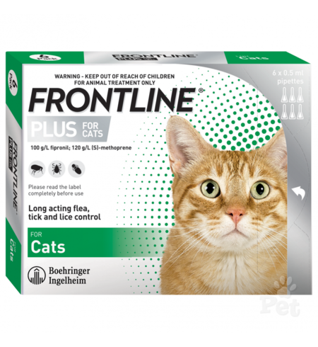 Frontline Cat 6 Pack