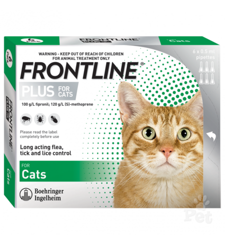 Frontline Cat 6 Pack