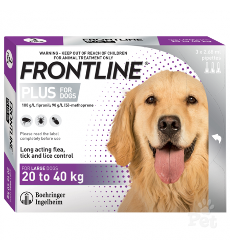 Frontline Dog 20 - 40kg - 3 pack