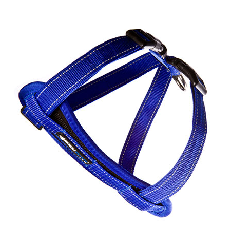 ED Harness CP XS Blue   -H09XSB