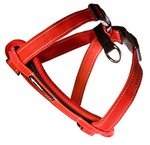 ED Harness CP XS Red   -H09XSR-dog-The Pet Centre