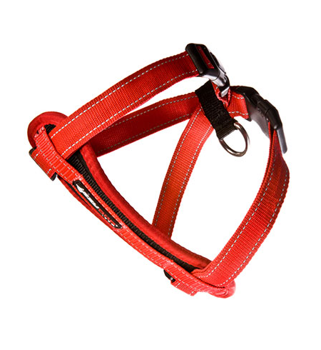 ED Harness CP XS Red   -H09XSR