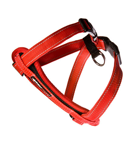 ED Harness CP S Red   -H09SR