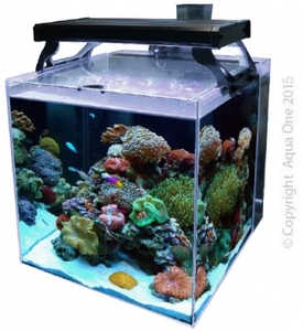 aqua one fish tank accessories Aquarium Decorations Set, Decor with Artificial Plants and Resin Ornaments, Betta Fish Tank for Small Tanks, Soft Safe Plastic Plants with Hideout Cave Décor(Ornaments set #2) Boasts a stunning lighting system with 48 individual LEDsVented tank seperators ensure proper water flow and filtration Aqua One Store - Genuine