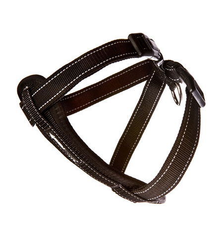 ED Harness CP XL Black   -H09XLBLK