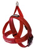 ED Harness QF L Red   -HQLR-dog-The Pet Centre