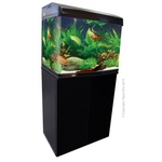 Aqua One AR620T 130 Litre Aquarium & Cabinet Combo-fish-The Pet Centre