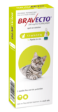 Bravecto Cat Spot On 1.2 - 2.8kg-cat-The Pet Centre