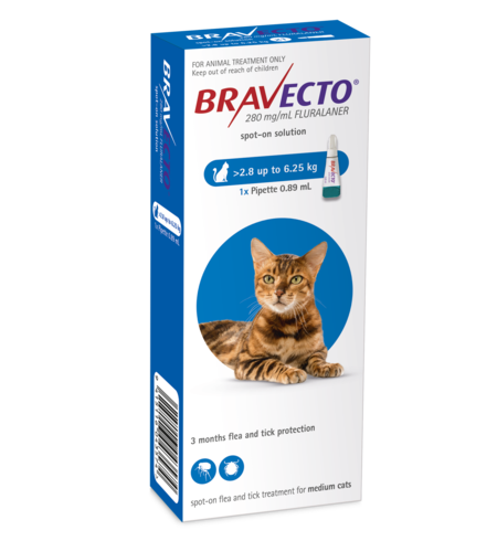 Bravecto Cat Spot On 2.8 - 6.25kg