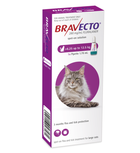 Bravecto Cat Spot On 6.25 - 12.5kg