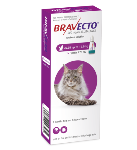 Bravecto Cat Spot On 6.25 - 12.5kg