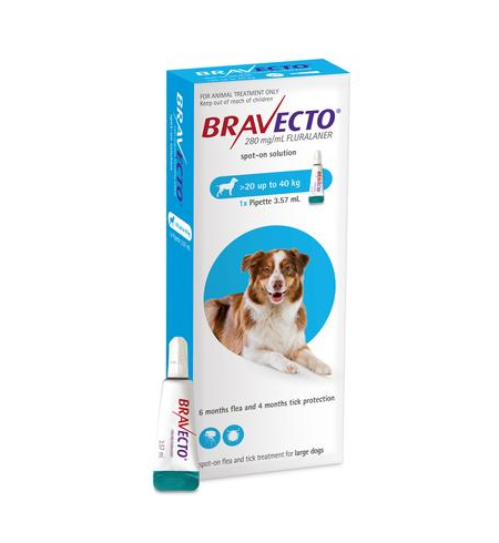 Bravecto Dog Spot On 20-40kg 