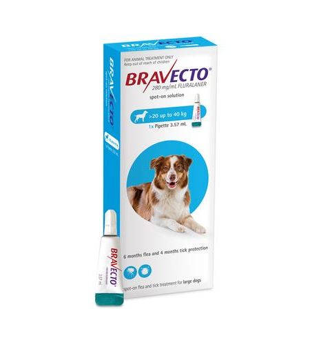 Bravecto Dog Spot On 20-40kg 