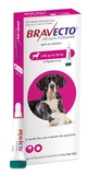 Bravecto Dog Spot On 40-56kg -dog-The Pet Centre