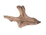 Driftwood - Medium 25CM+-fish-The Pet Centre