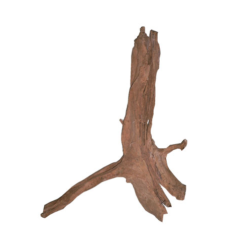 Driftwood Large 55cm +