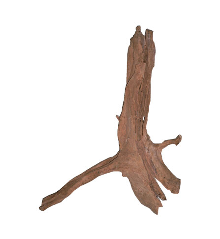 Driftwood Large 55cm +