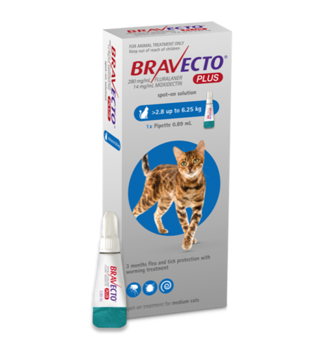 Bravecto Cat Plus 2.8 - 6.25kg