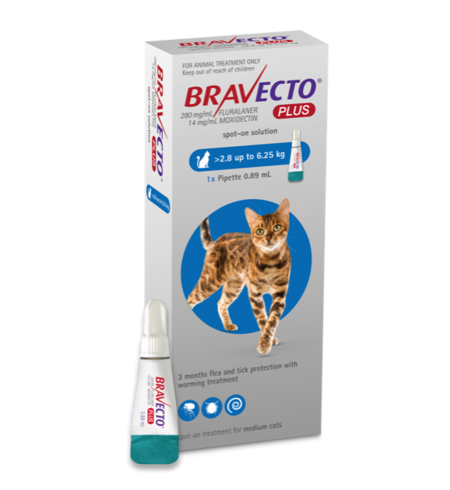 Bravecto Cat Plus 2.8 - 6.25kg