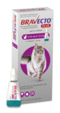 Bravecto Cat Plus 6.25 - 12kg-cat-The Pet Centre