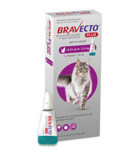 Bravecto Cat Plus 6.25 - 12kg