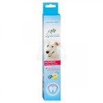 AFP Toothpaste - Vanilla Ginger Flavoured-dog-The Pet Centre