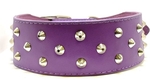Pet One Leather Dog Collar Triple Stud 55cm Purple-dog-The Pet Centre