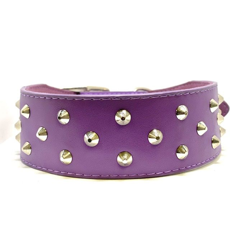 Pet One Leather Dog Collar Triple Stud 55cm Purple