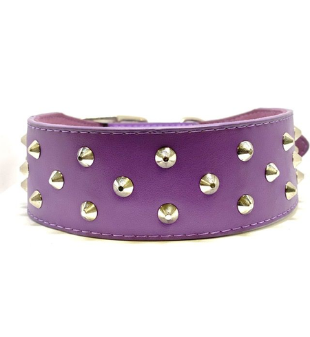 Pet One Leather Dog Collar Triple Stud 55cm Purple