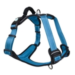 Huskimo Ultimate Harness -  Bells Beach (L)-harnesses-The Pet Centre