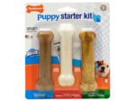 Nylabone Puppy Starter Kit-chew-toys-The Pet Centre