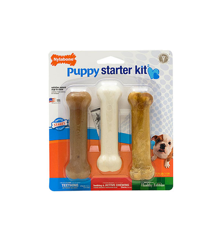 Nylabone Puppy Starter Kit