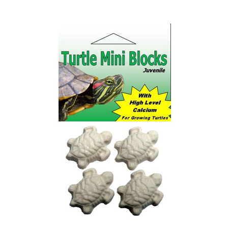 Turtle Mini Blocks Juvenile 4 pack