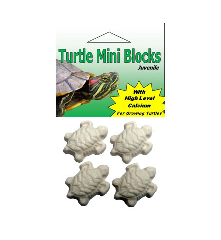 Turtle Mini Blocks Juvenile 4 pack