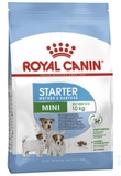 Royal Canin Mini Starter Mother & Babydog Dog Food 4kg-dog-The Pet Centre