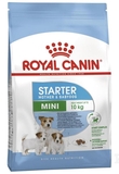 Royal Canin Mini Starter Mother & Babydog Dog Food 4kg-dog-The Pet Centre