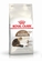 Royal Canin Ageing +12 Cat Food 2kg