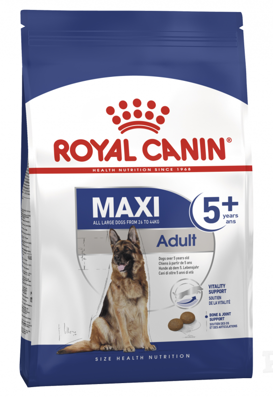 Maxi adult 15kg 2025