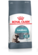 Royal Canin Hairball Care Cat Food 2kg