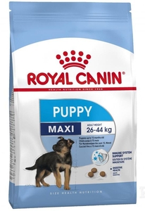 Puppy maxi store